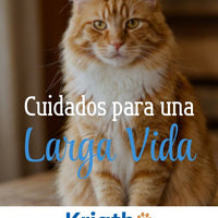 Guía | Cuidados para una Larga Vida
