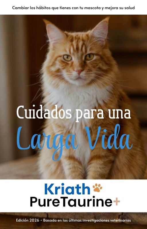 Guía | Cuidados para una Larga Vida